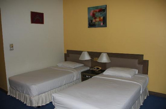 隆披尼公园品尼高酒店主图