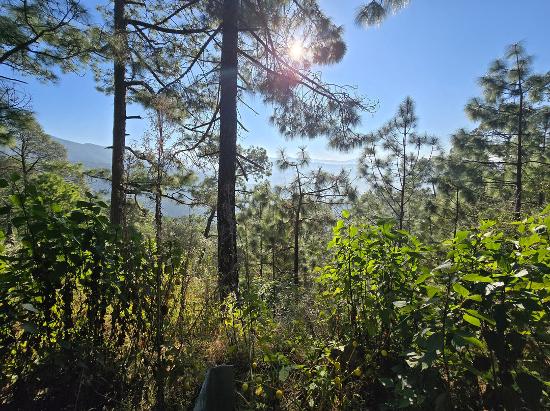 Binsar Wildlife Sanctuary-Binsar必去景点