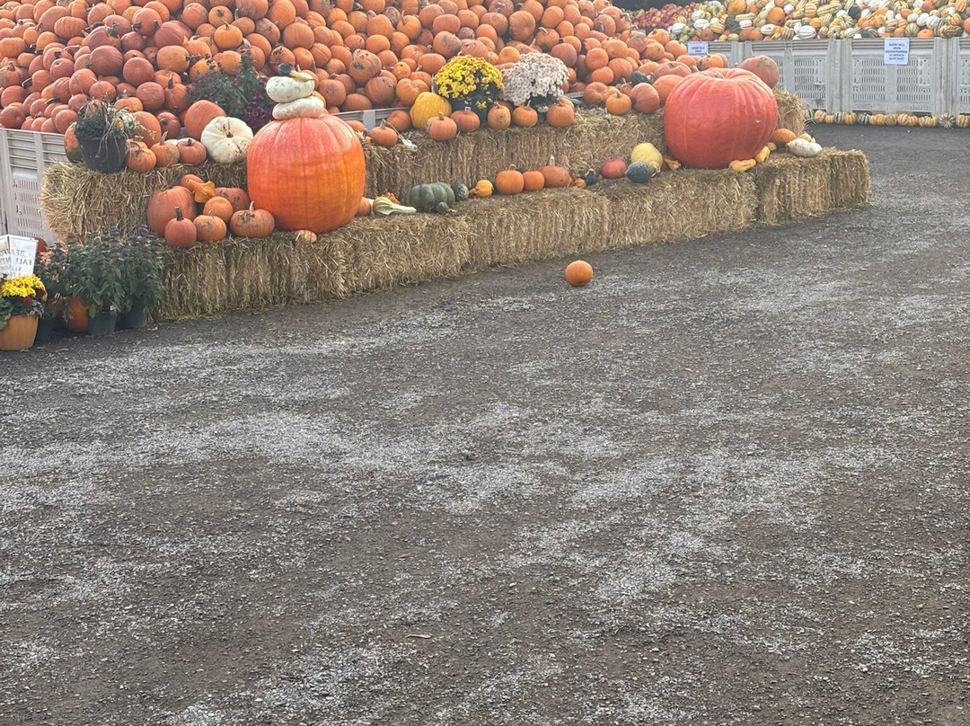 Desert Hills Ranch-Ashcroft必去景点
