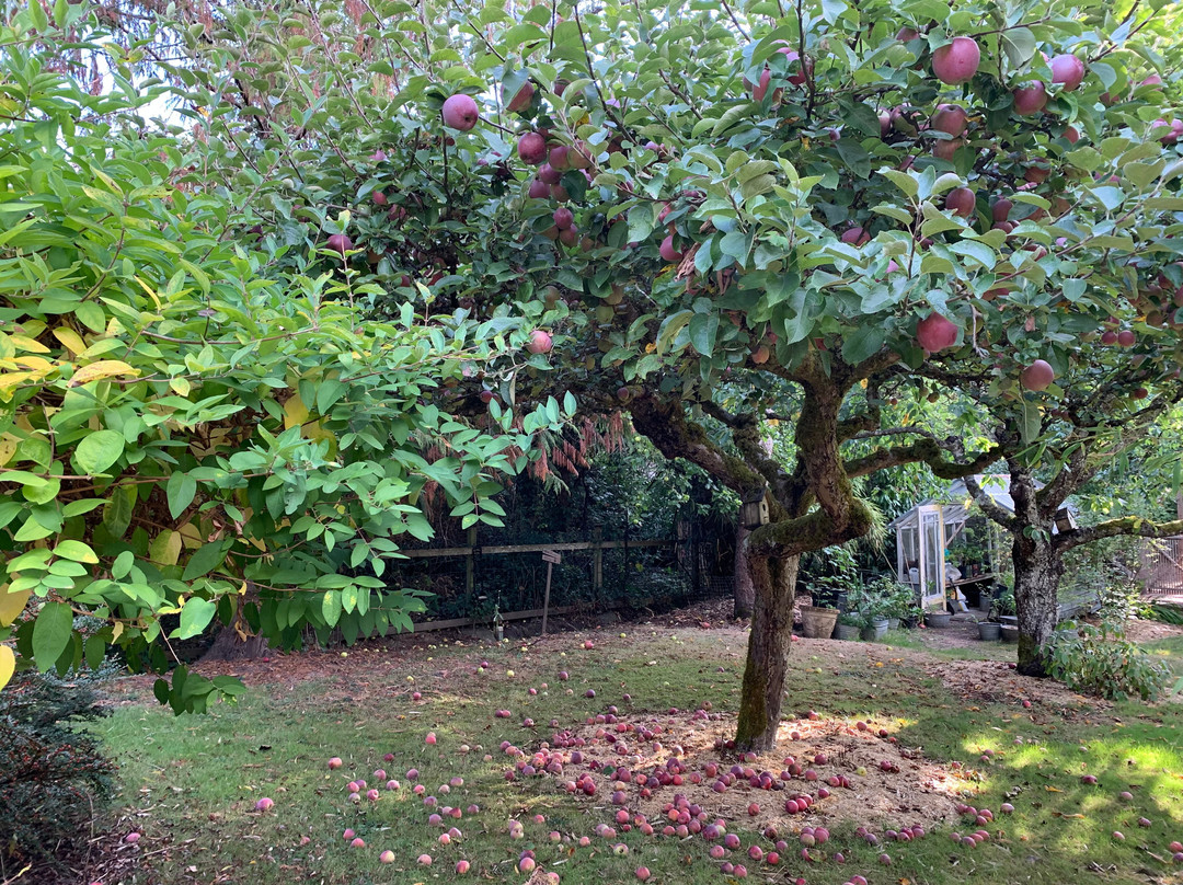 Wisteria Guest House主图