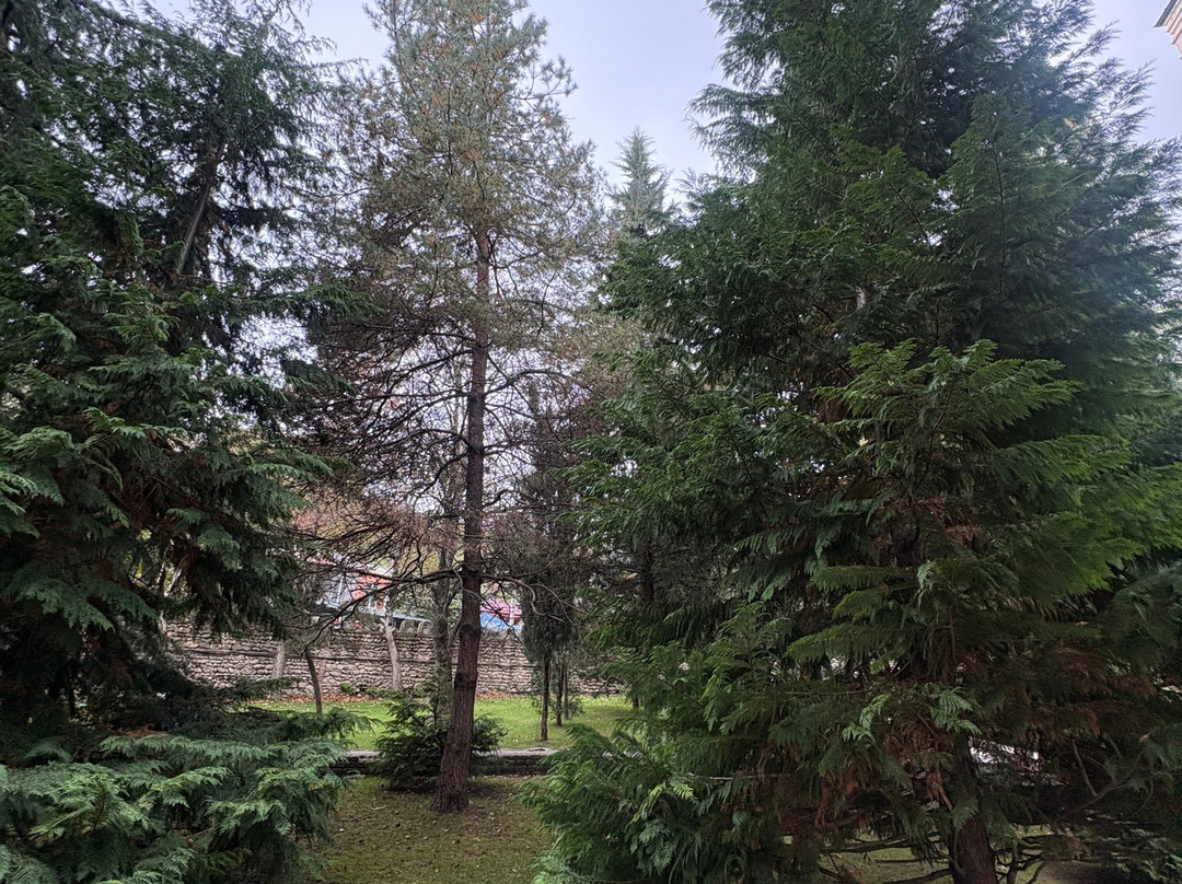 EvaTour-第比利斯必去景点