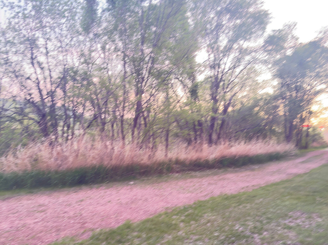 Stoney Creek Hotel La Crosse - Onalaska主图