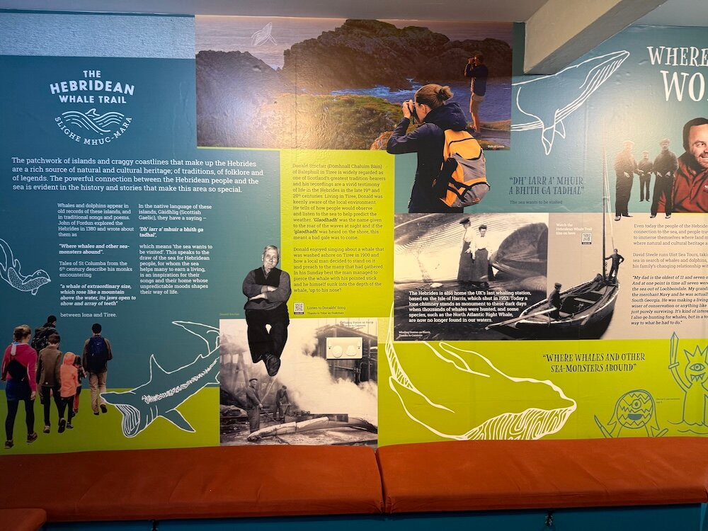 Hebridean Whale & Dolphin Trust-Tobermory必去景点