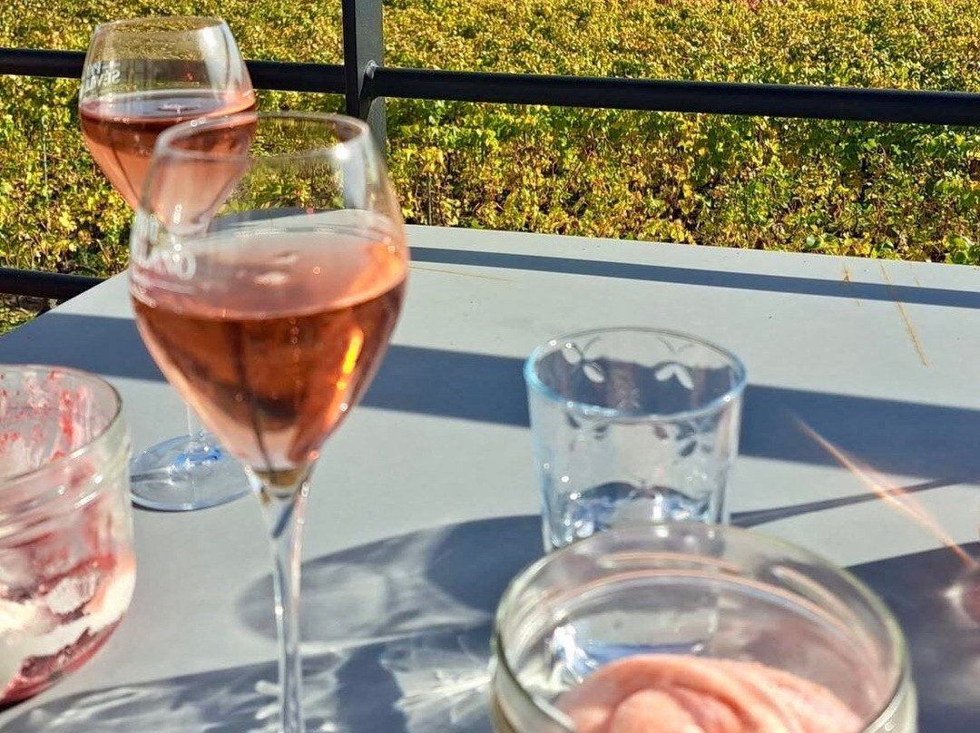 Champagne Piot-Sévillano-Vincelles必去景点