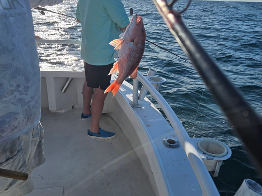 Charter Boat Distraction-橙色海湾必去景点