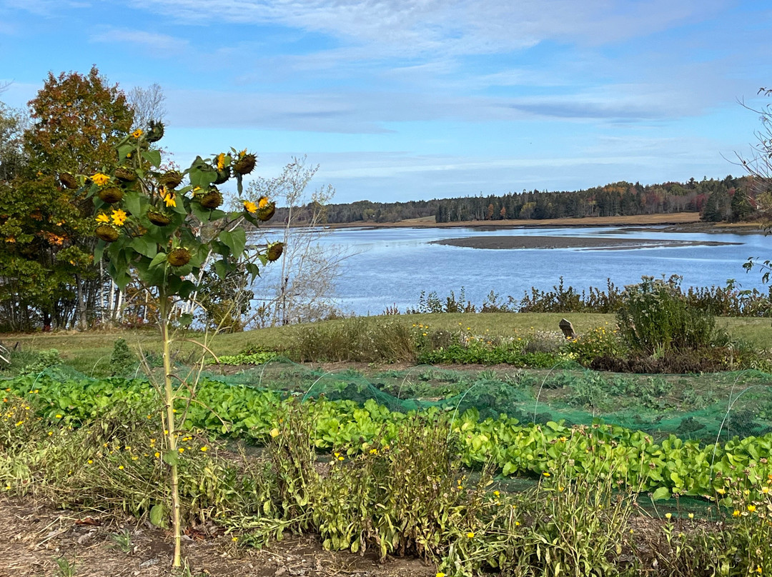 The Red Barn Motel主图