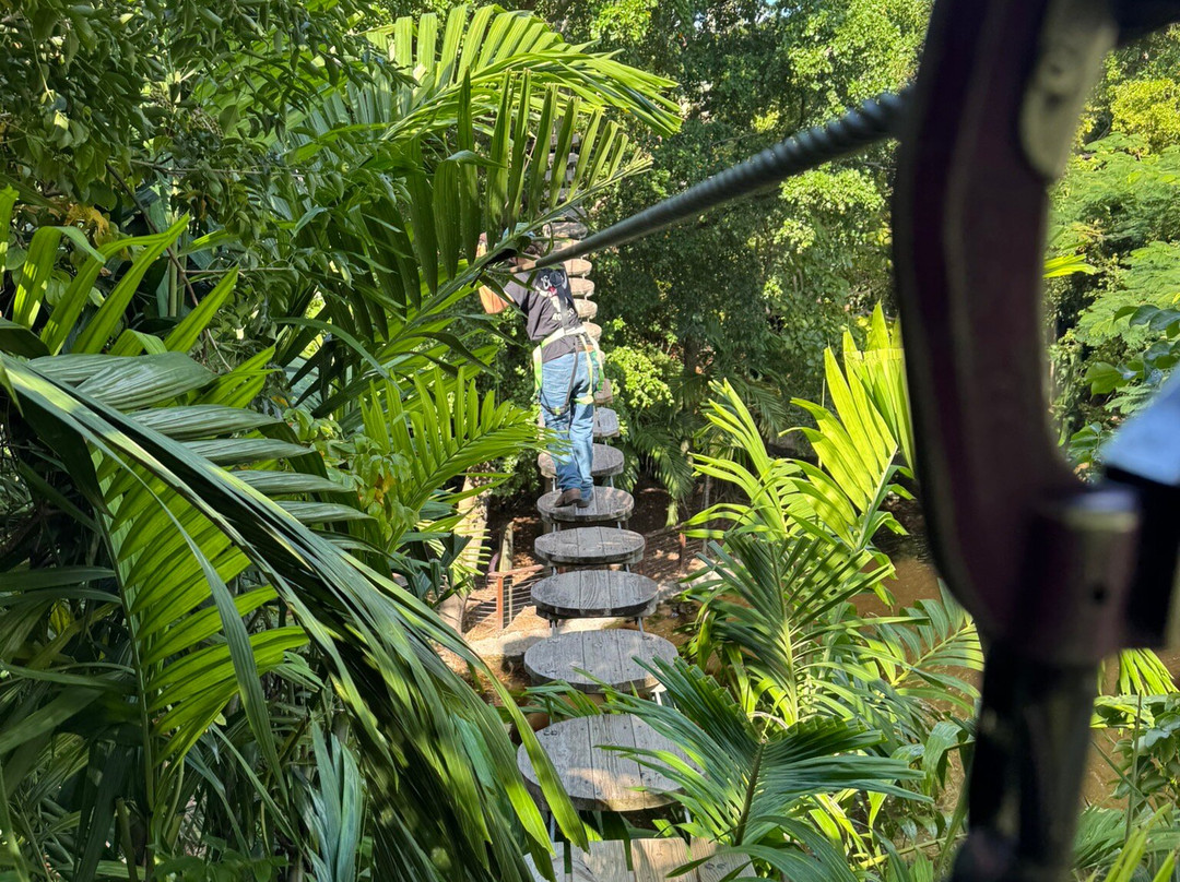 Treetop Trekking Miami-迈阿密必去景点