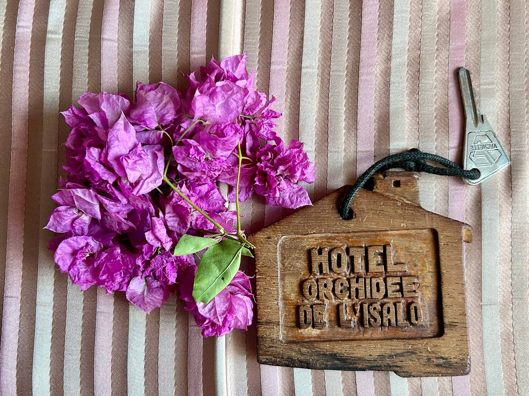 L'Orchidee de L'Isalo主图