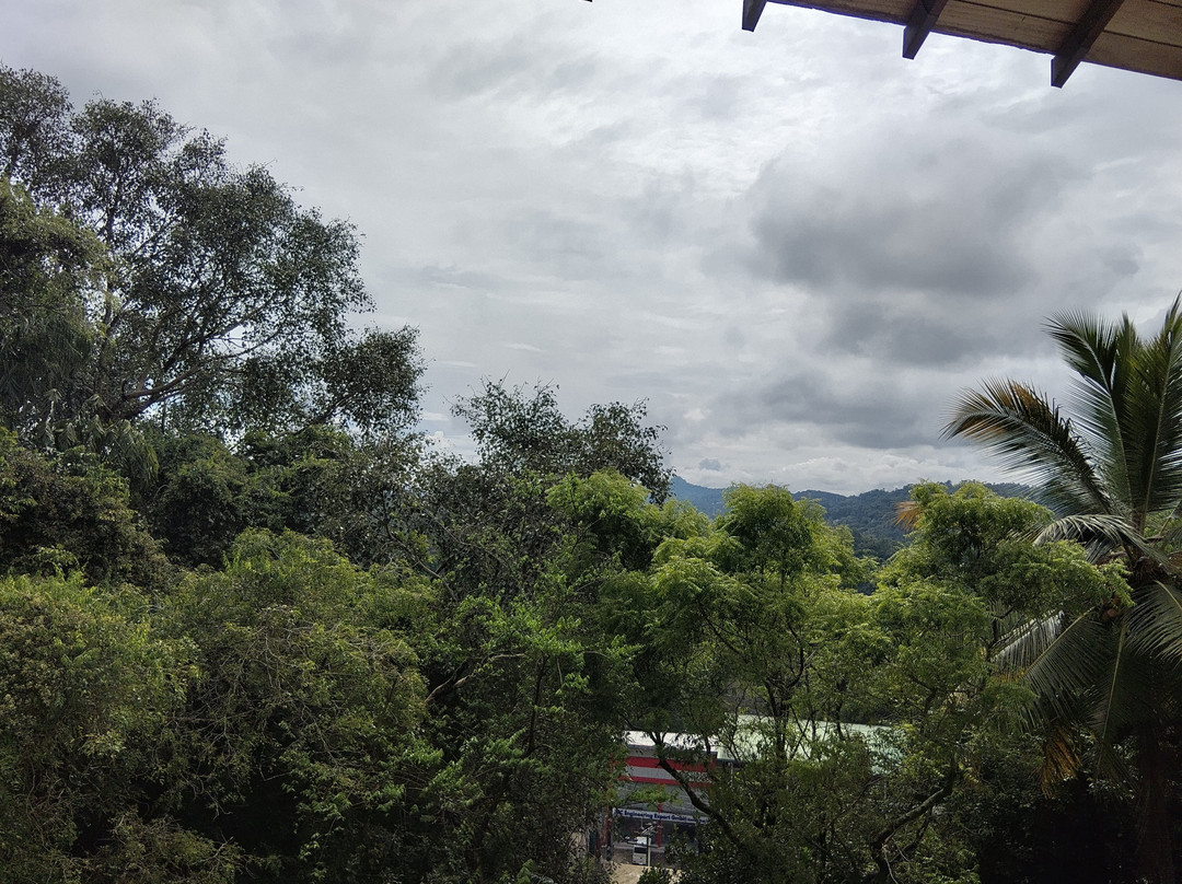 Ama  Lanka Tours-Minuwangoda必去景点