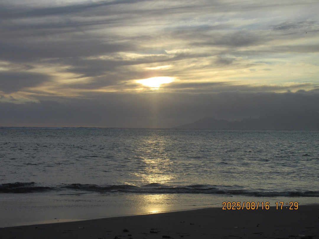 Tahiti Best Transport