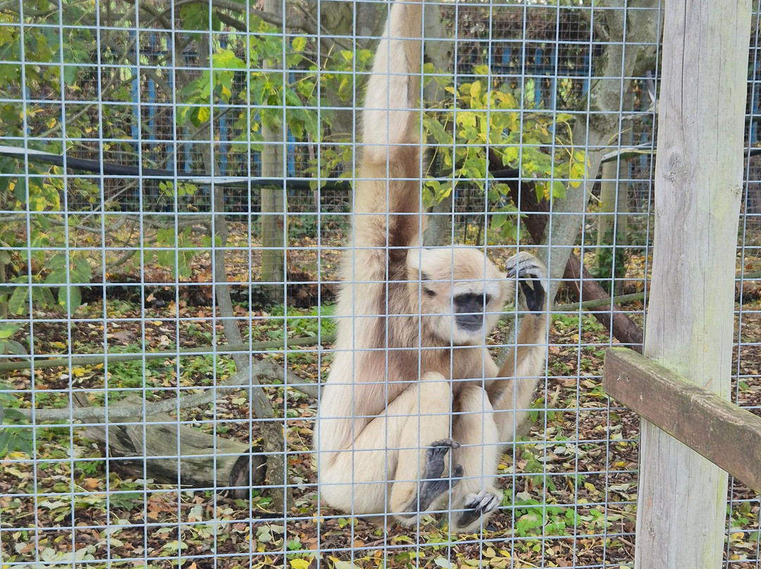 Tropiquaria Zoo-Washford必去景点