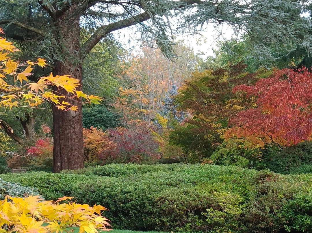Ramster Gardens-Chiddingfold必去景点