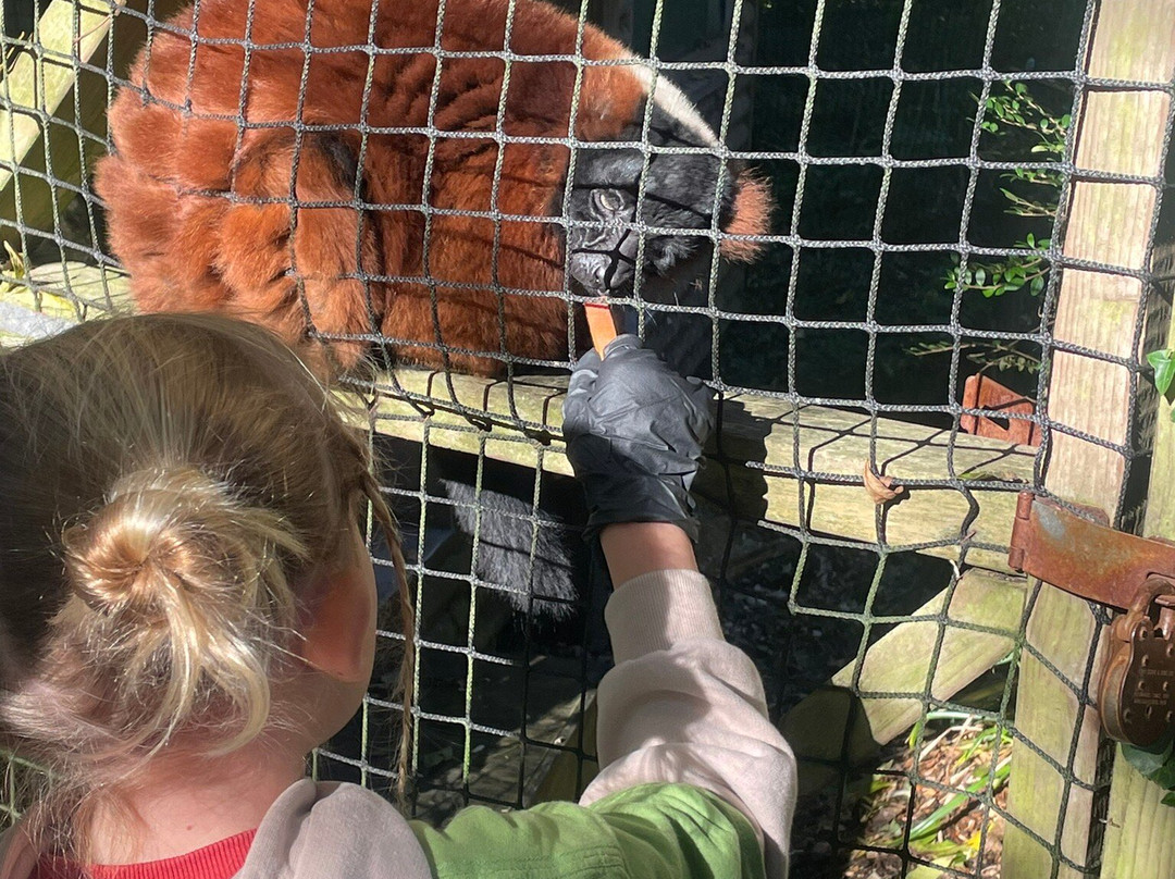 Paignton Zoo Environmental Park-佩恩顿必去景点