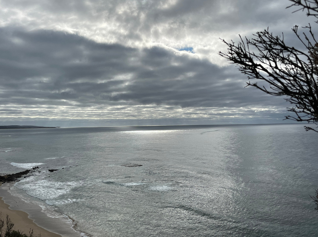 Land's End Lookout-Aireys Inlet必去景点