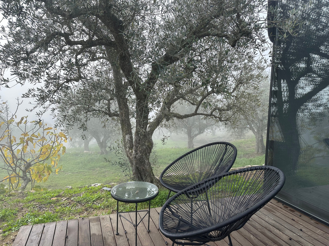 Quinta dos Piscos
