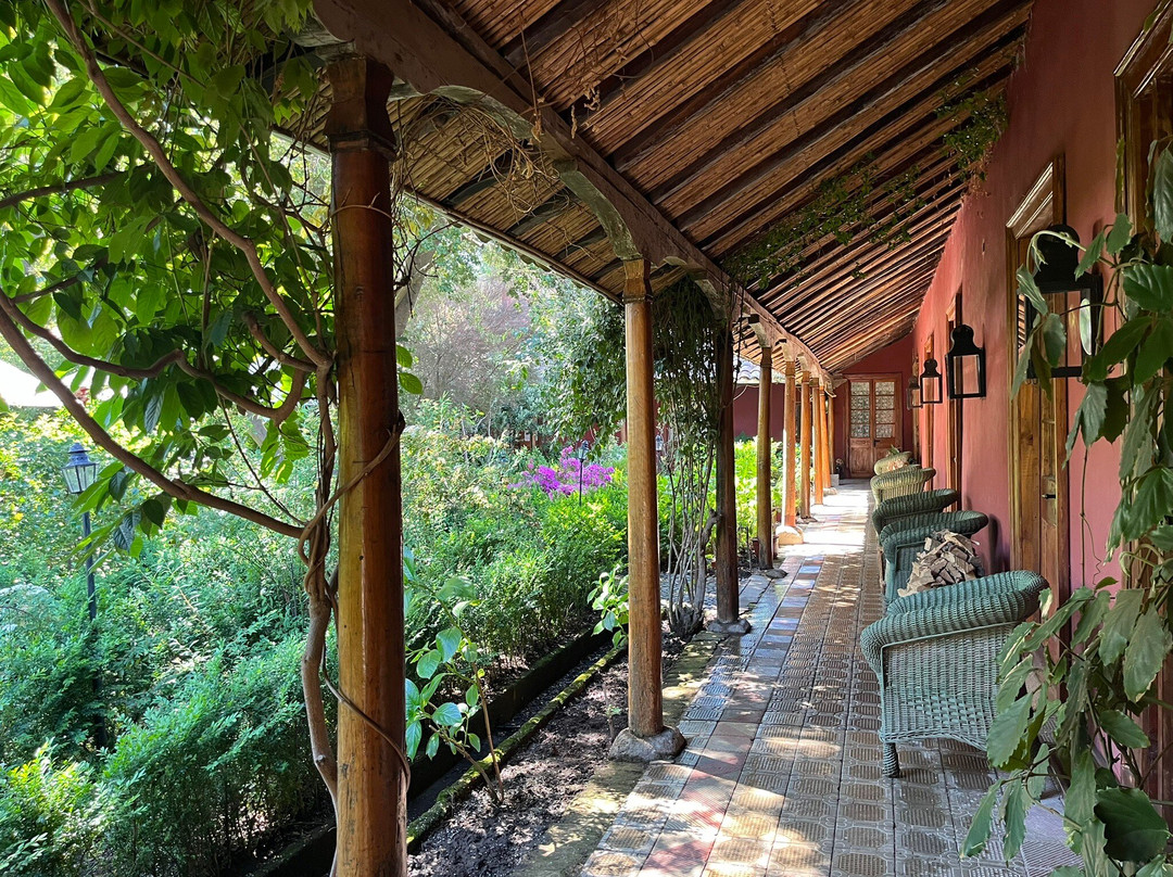 Hacienda Los Lingues Hotel主图