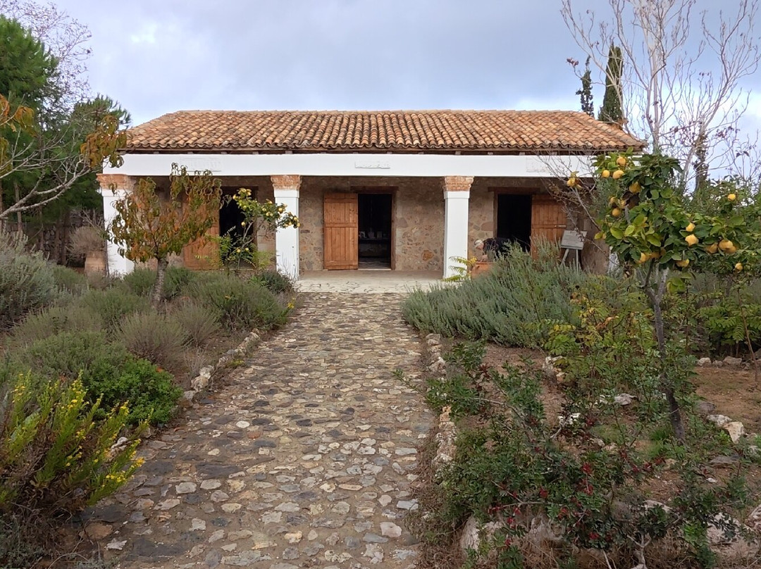 Hippocrates Garden Cultural Center-Mastichari必去景点