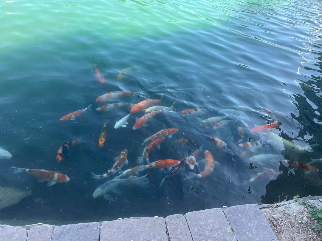 Queen Creek Botanical Gardens