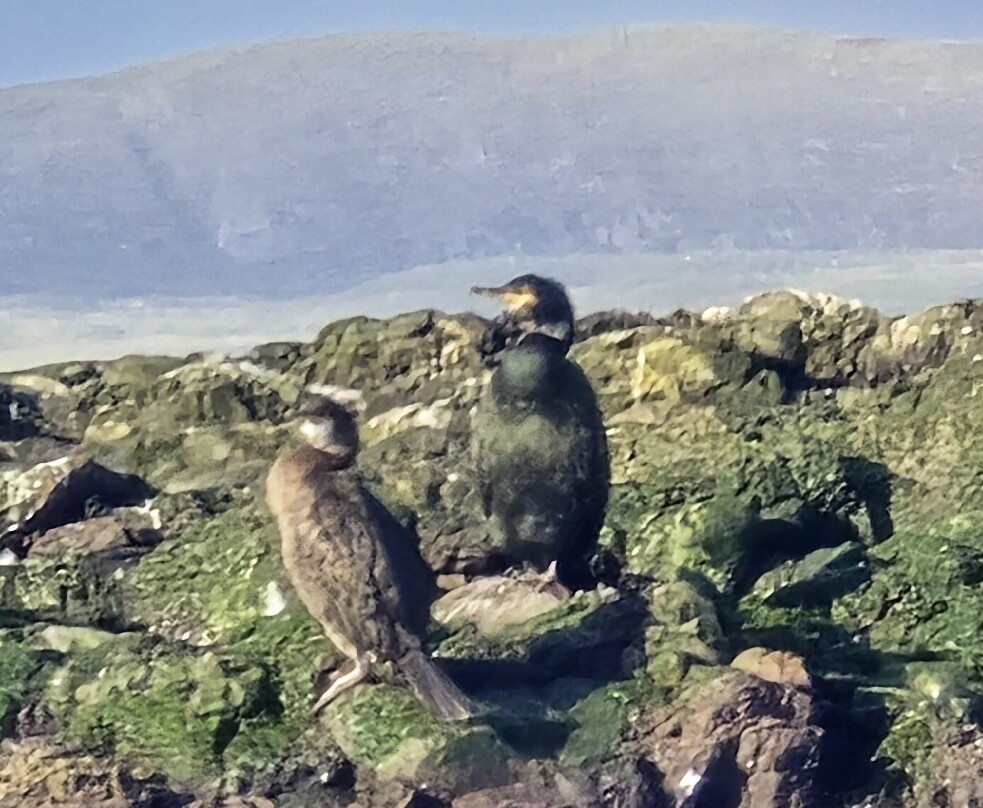 Argyll-Sea Tours-奥本必去景点