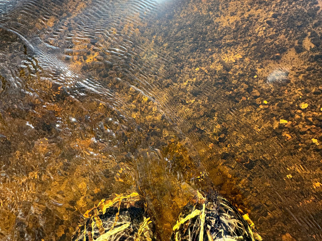 Fossil Funatics-达文波特必去景点