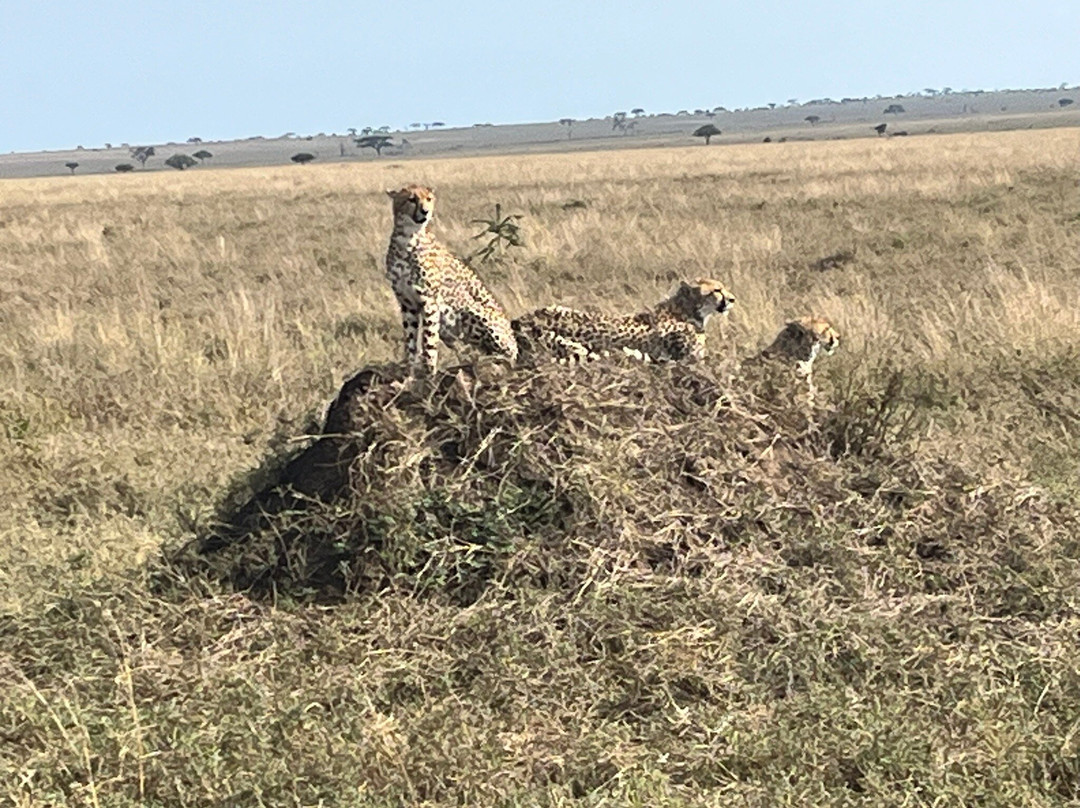 Kandoo Adventures-彭里斯必去景点