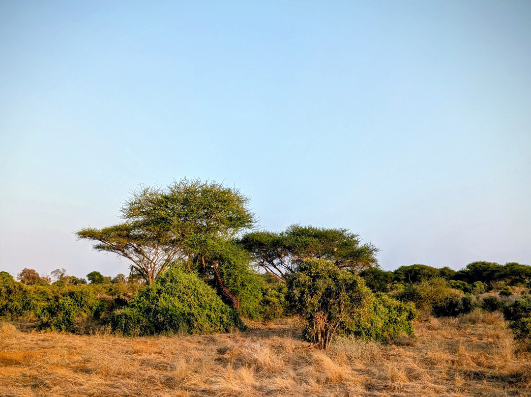Oranje Safari-迪亚尼必去景点