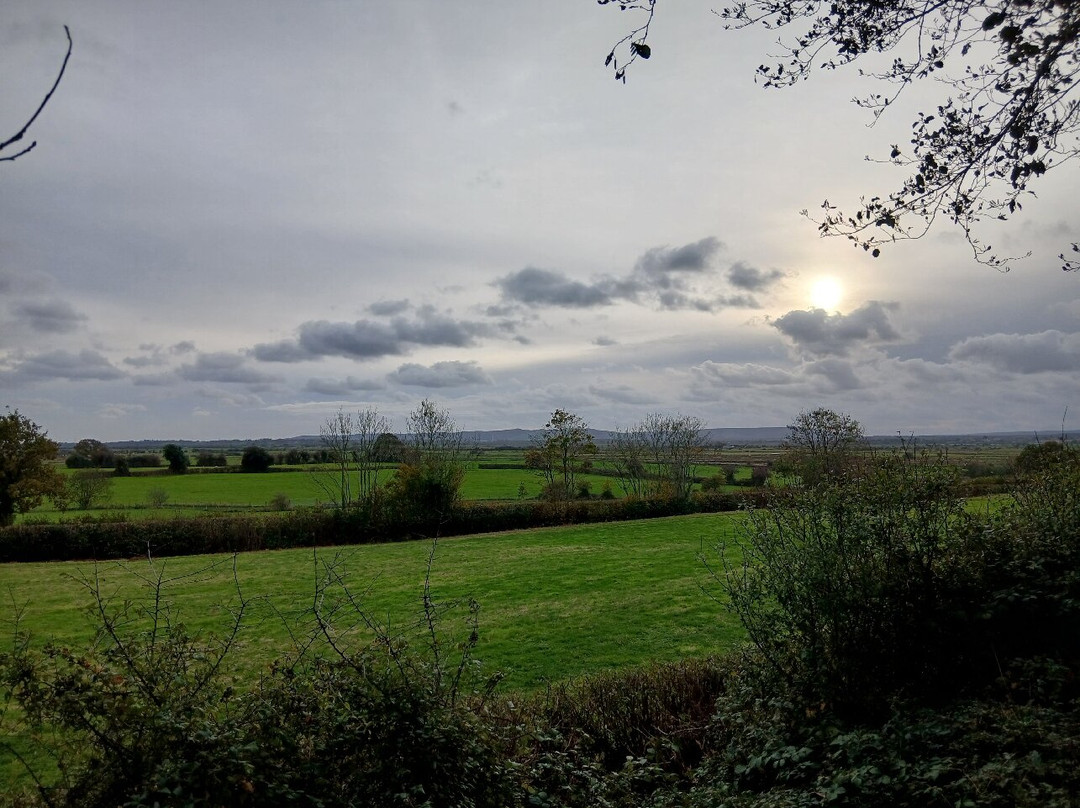 Henners Vineyard-Herstmonceux必去景点