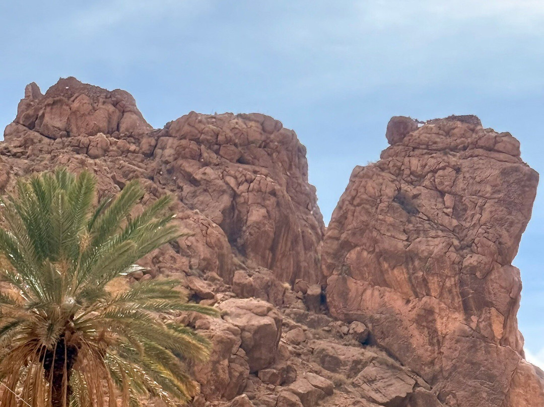 Mountain Desert Tours-马拉喀什必去景点