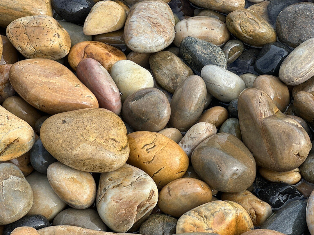 Lillico Beach Conservation Area-Lillico必去景点