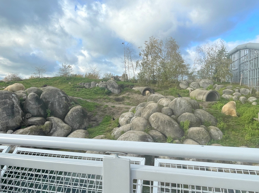 Wildlands Adventure Zoo Emmen-Emmen必去景点