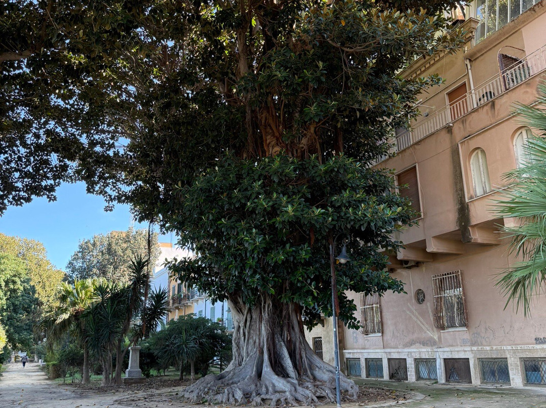 Villa Cavallotti-马尔萨拉必去景点