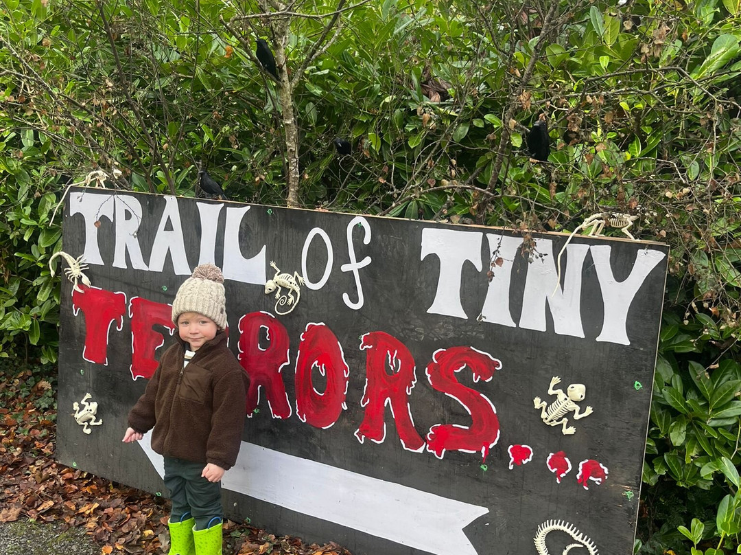 Montalto Estate-Ballynahinch必去景点