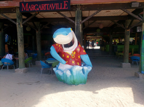 Jamaica Transport Tours- Chucky’s Private Transport & Tours-内格里尔必去景点