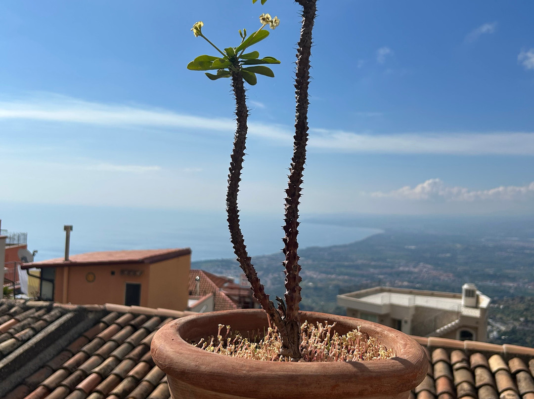 Rosella & Gianca - Best Things To Do In Sicily-巴勒莫必去景点