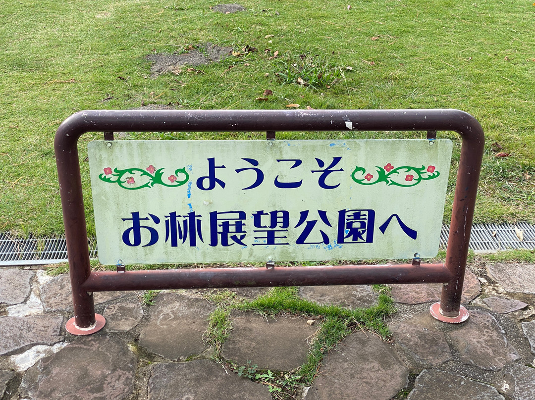 Ohayashi Tembo Park-真鹤町必去景点