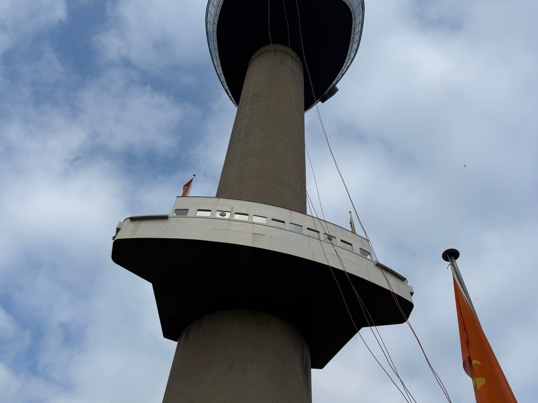 Het Park-鹿特丹必去景点