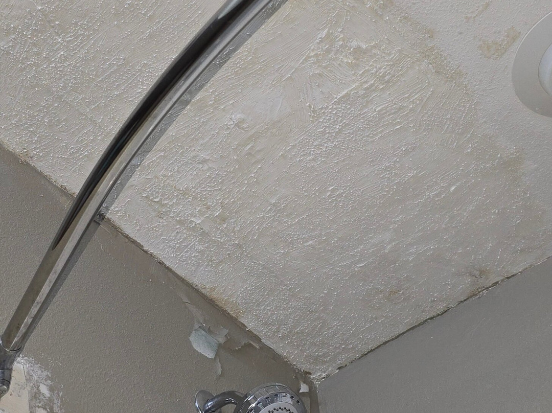 Super 8 by Wyndham Rainsville主图