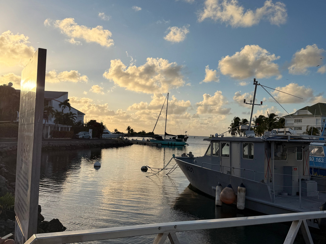 Tarzan Excursion Guadeloupe-Sainte-Anne必去景点