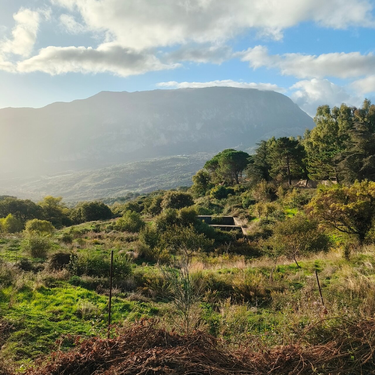 Feudo Galefona-官方