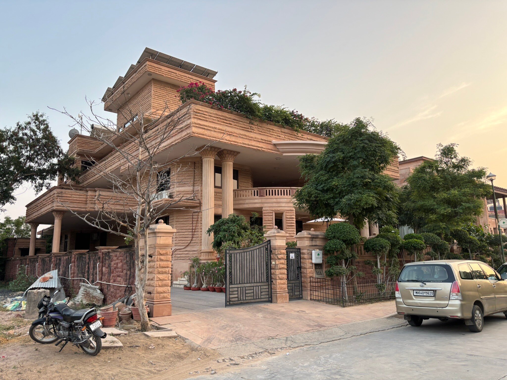 The Almond Tree-官方