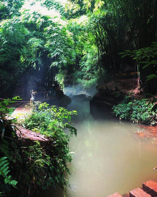 川西竹海-沐川县必去景点