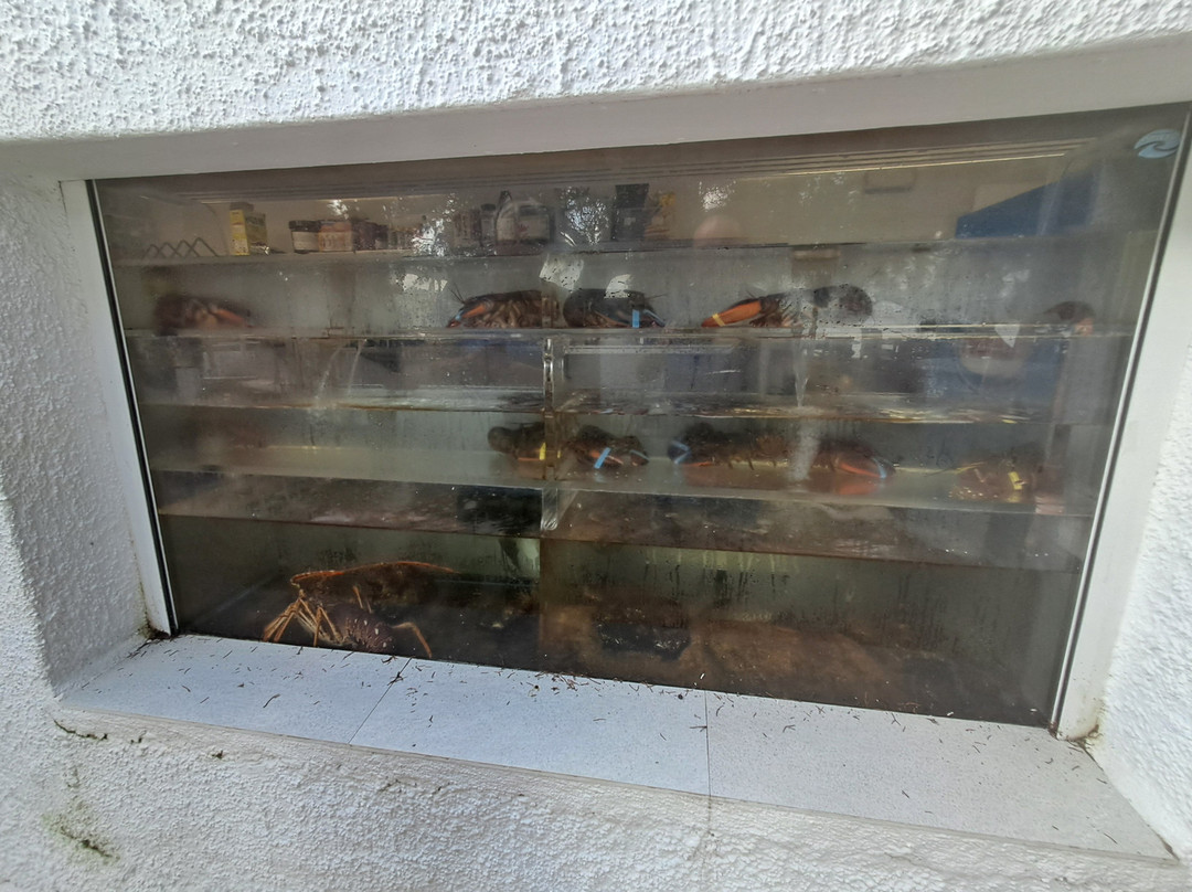 巴萨小海湾-圣安东尼德波特曼尼必去景点