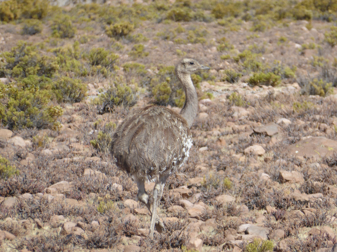 Mayuru Tour-Putre必去景点