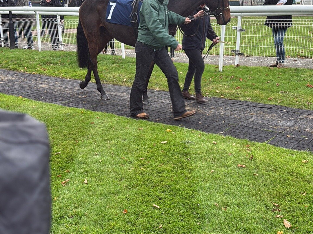 Fontwell Park Racecourse-Fontwell必去景点