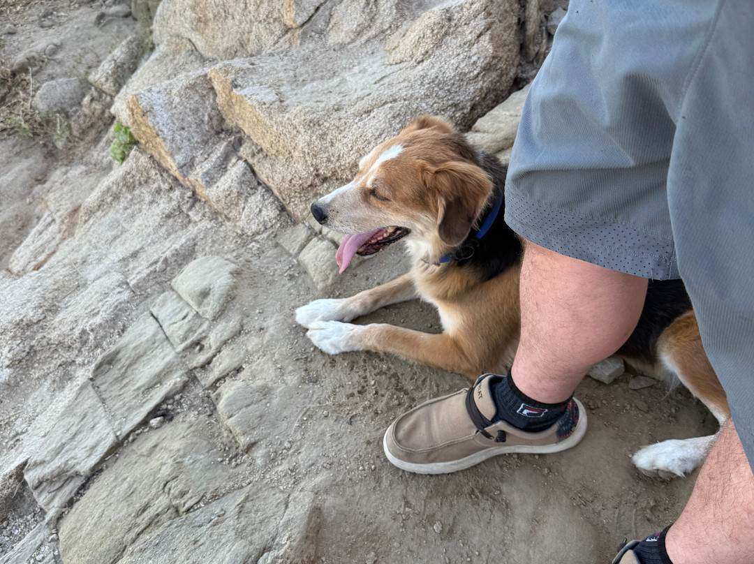 Mt. Solmar-卡波圣卢卡斯必去景点