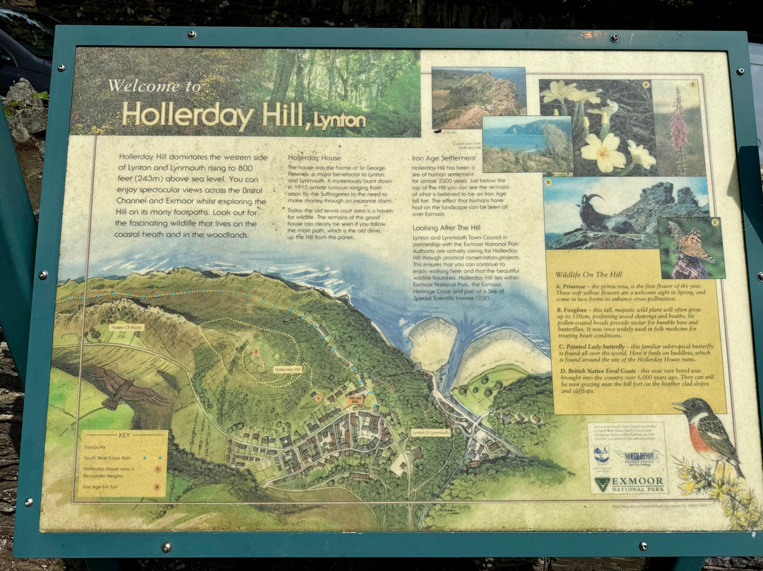 Hollerday Hill-林顿必去景点