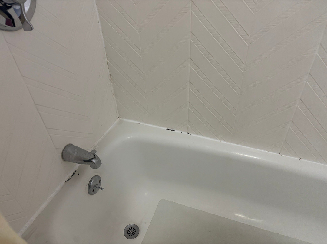 Baymont by Wyndham Bay City主图