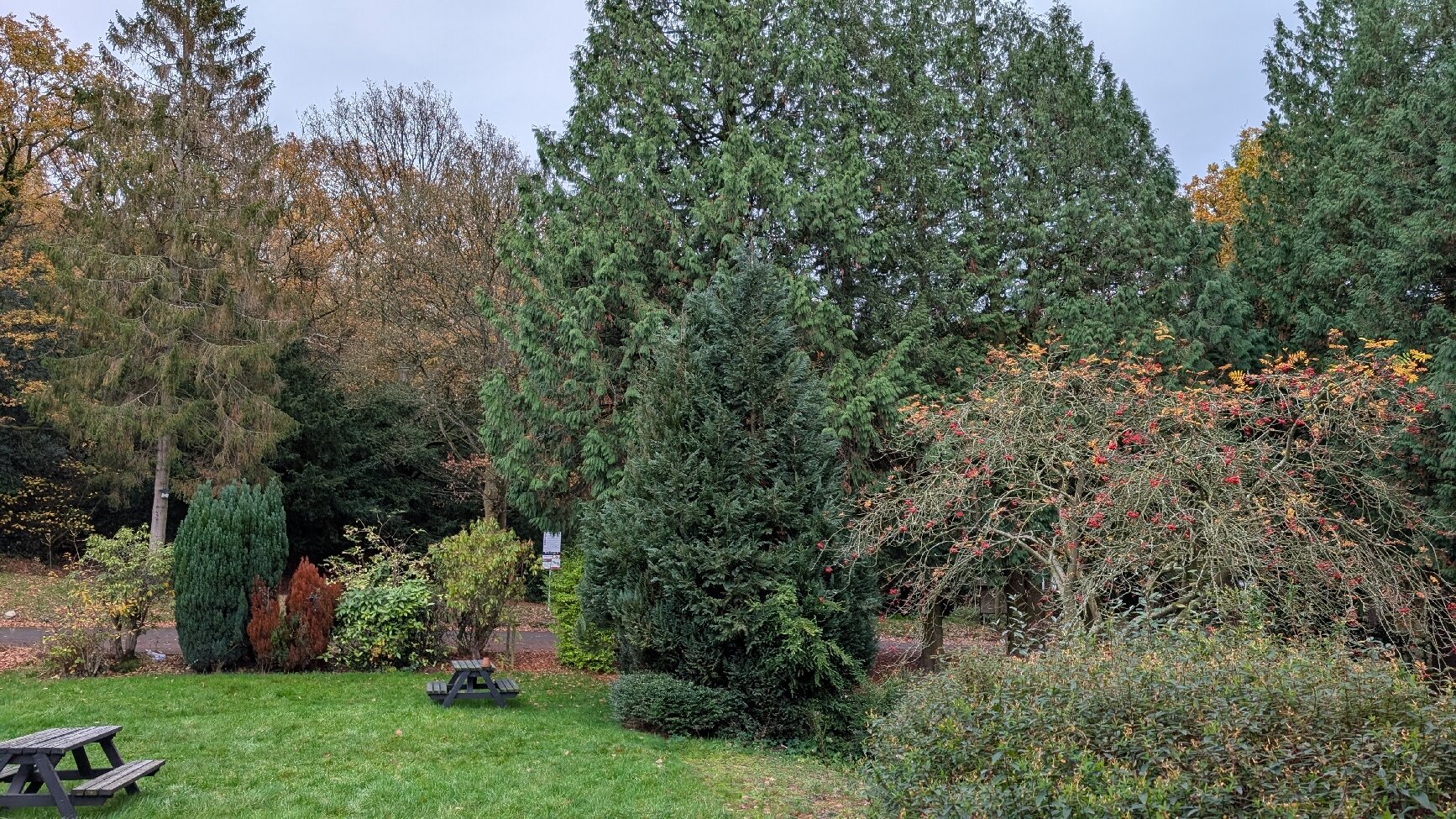 巴卡特里厅酒店-官方