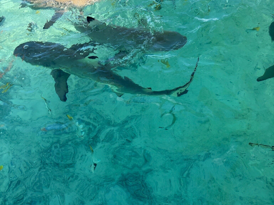 Raanui Tours-瓦伊塔佩必去景点