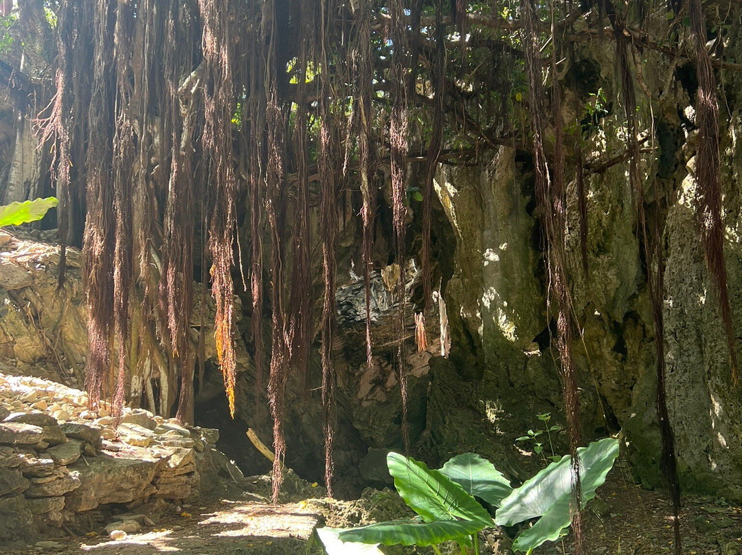 Caverne Patate-罗德里格斯岛必去景点
